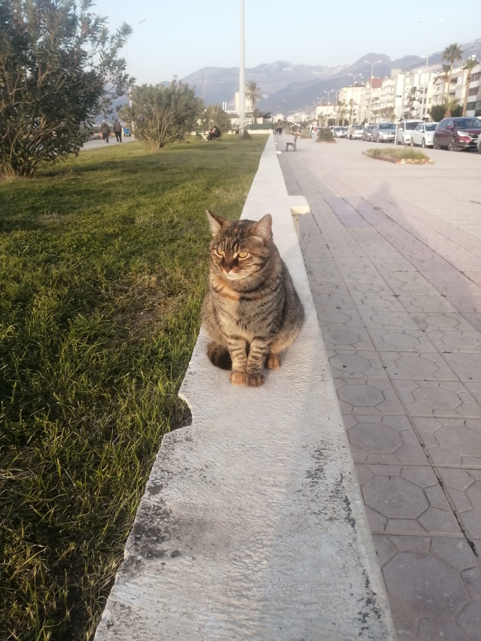 En son çektiğiniz fotoğrafı benimle paylaşır mısınız?