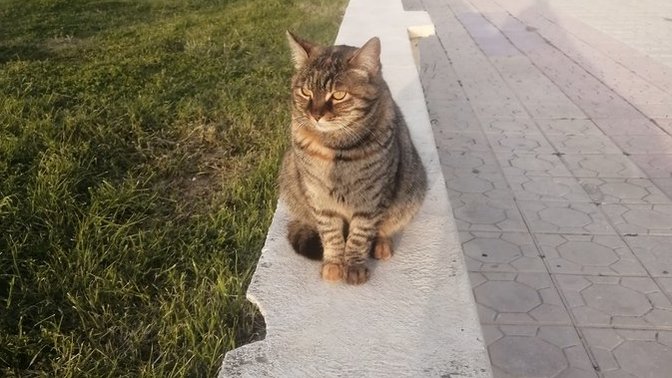 En son çektiğiniz fotoğrafı benimle paylaşır mısınız?
