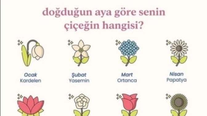Doğduğun aya göre senin çiçeğin hangisi?