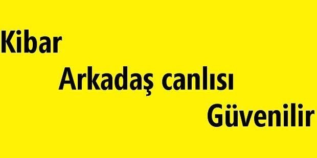 Seni tanımlayan üç özelliğini yazar mısın?