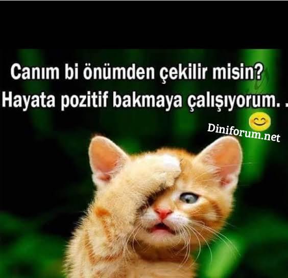 😄😄✌