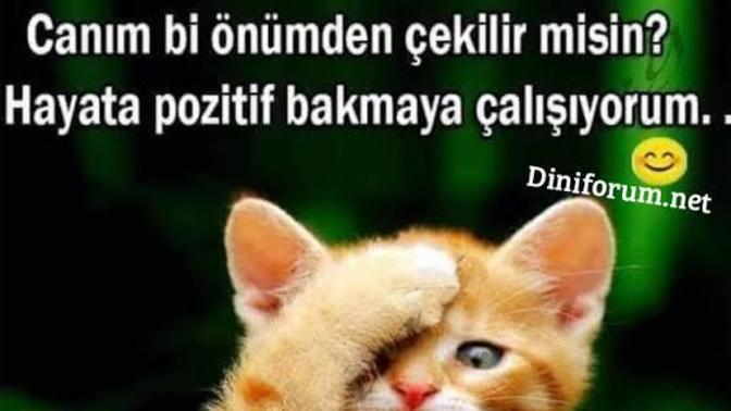 Hayata pozitif bakabiliyor musunuz?