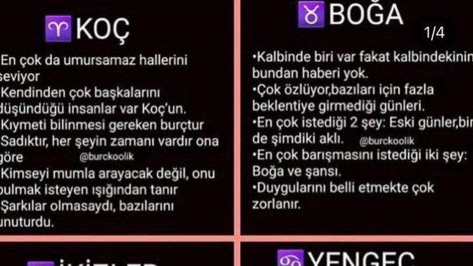 Burçlar senin için nasıl özellikler yazmış?