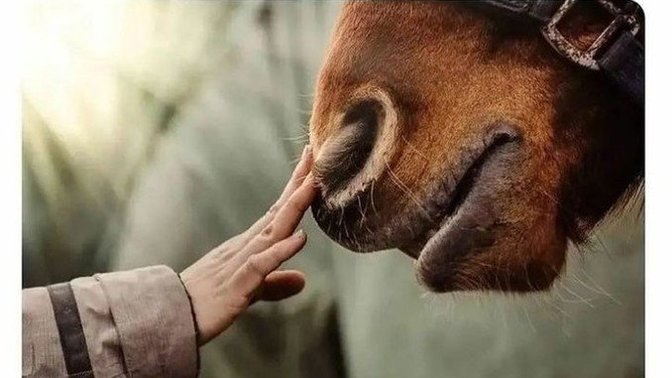 Mutlu olduğunuzu söylemek sizi korkutur mu?