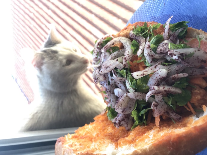 Tavuk tantuni sever misiniz?