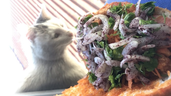 Tavuk tantuni sever misiniz?