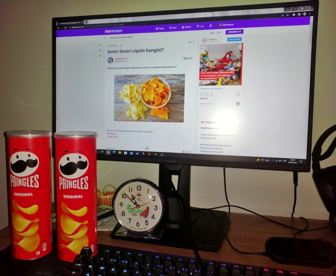 Senin favori cipsin hangisi?