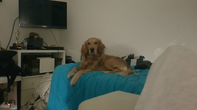 Böyle bön bön bakmak istediğin biri var mı?