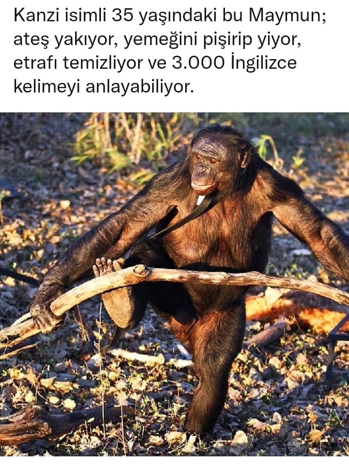 #nirhammm 🎯