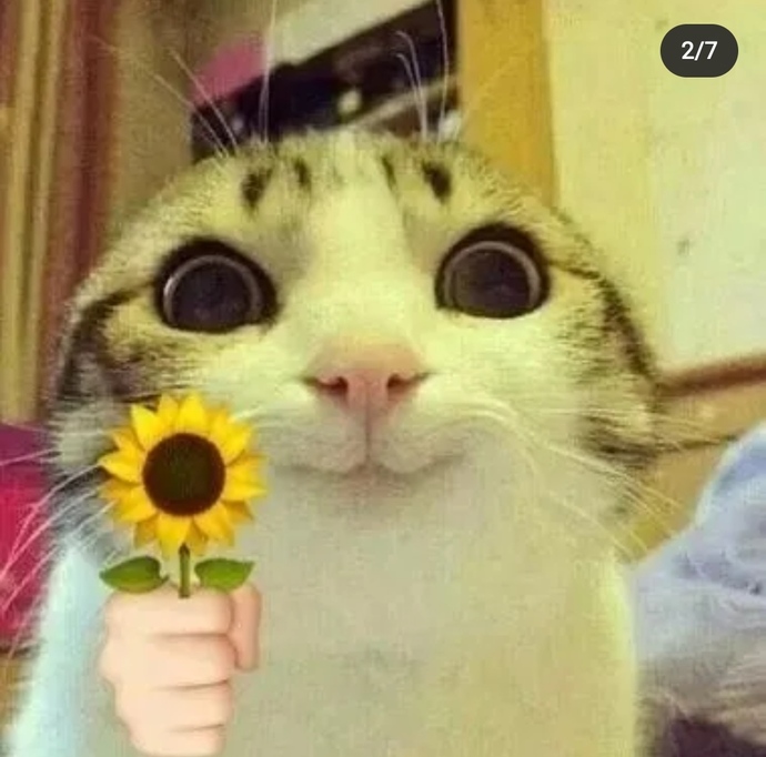 Günaydınn mesajı aldınız mı bu sabah?