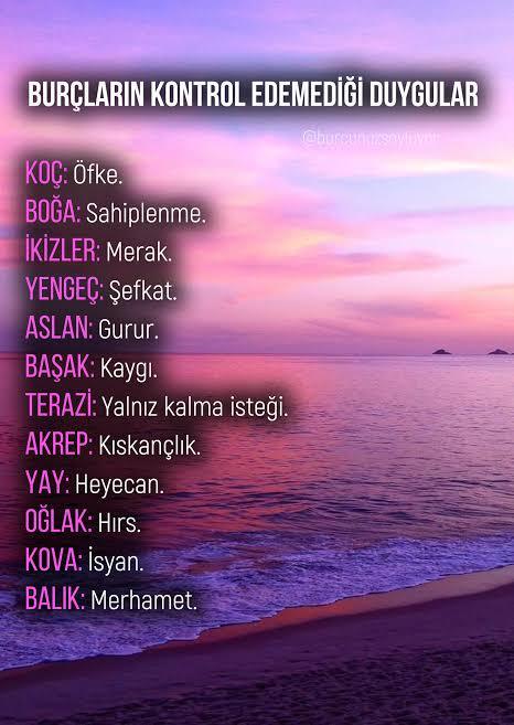 Burcuna göre kontrol edemediğin duygu hangisi?