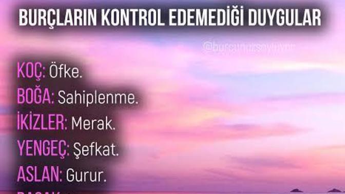 Burcuna göre kontrol edemediğin duygu hangisi?