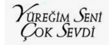 Yürekten sevmek nedir❓ Hiç birini yüreğinle sevebildim mi⁉️ Anlatabilir misin bizlere❓?
