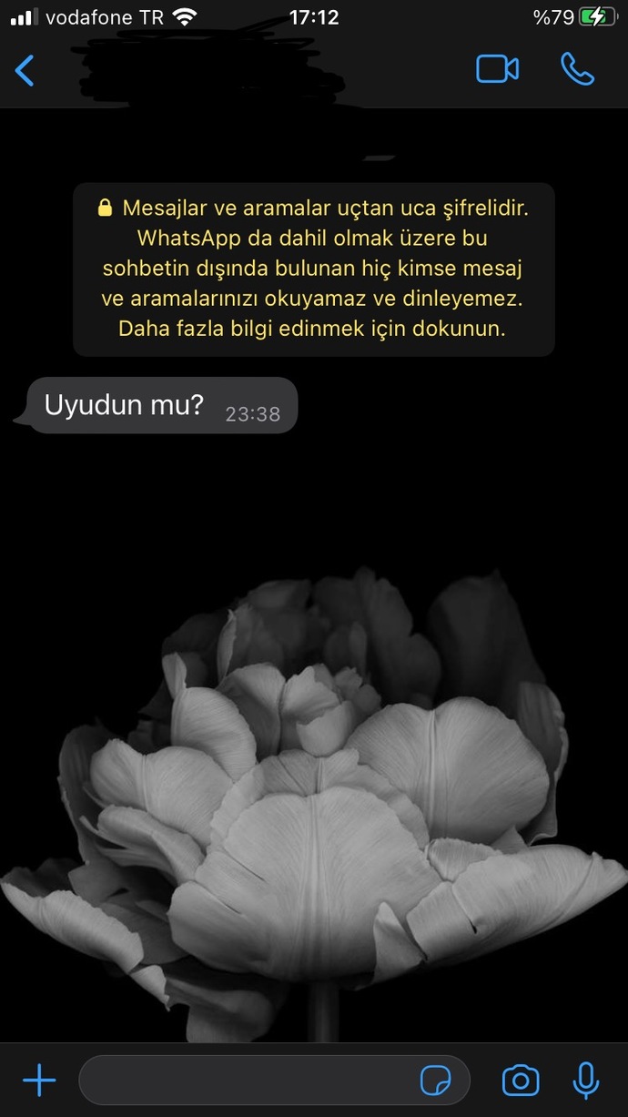 Whatsap konuşma panelinizde ki arka plan resmi nasıl?