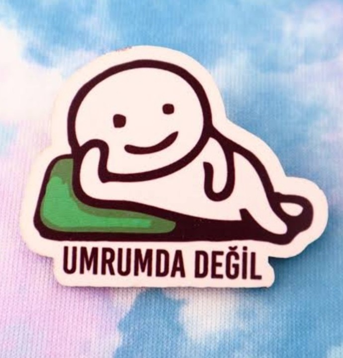 Sizi eleştiren insanların eleştirilerini dikkate alır mısınız?