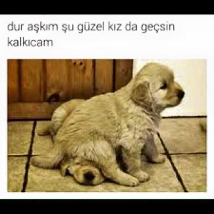 Erkekler kıskanç kadınları sevmez mii?