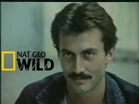 Çoğu erkek neden şey derdinde?