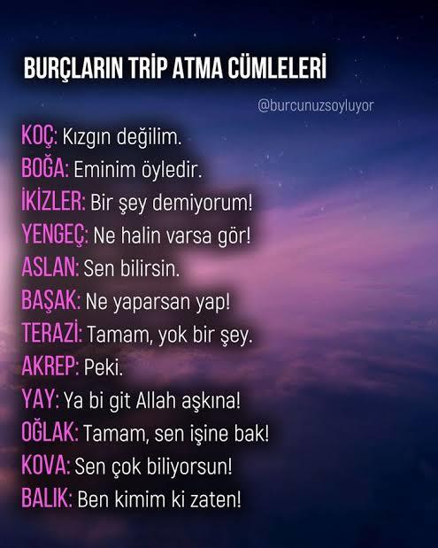 Burcuna göre trip atma cümlen ne?