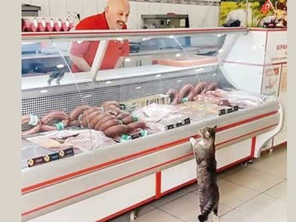 Kadınlar sexsiz aşk istiyorlar, bu haksızlık değil mi?