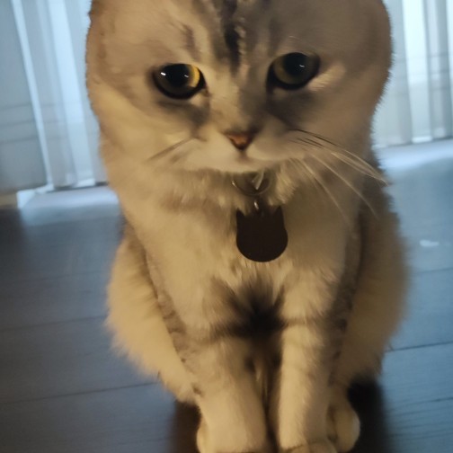 İstemeden hamile kalsanız o çocuğu 🤔 dogururmuydunuz?