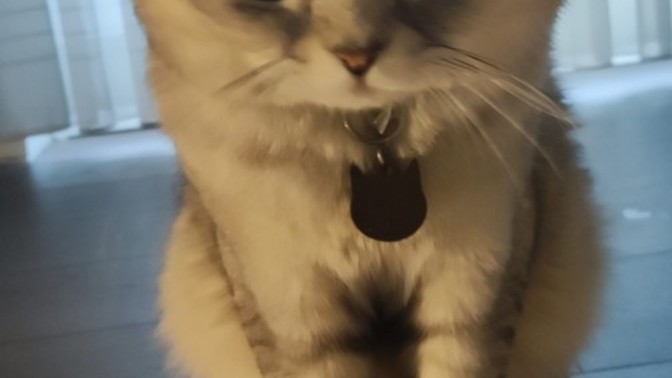 İstemeden hamile kalsanız o çocuğu 🤔 dogururmuydunuz?