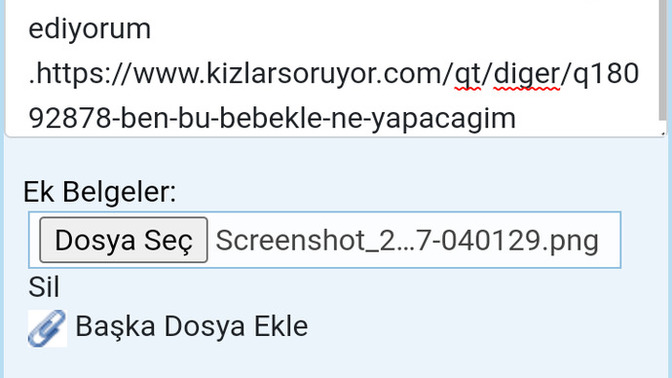Her şey olabilirsiniz ama evlatları bebekleri hastalikli ruh hallerinize malzeme yapamazsınız insan olan susar mi ben susmam?