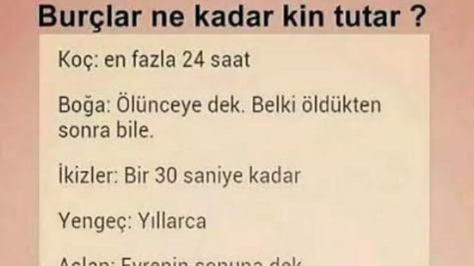Burcuna göre ne kadar kin tutarsın?