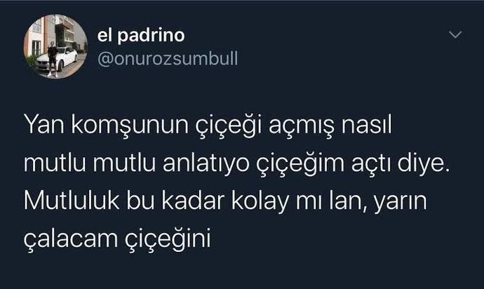 En sevdiğiniz çiçek hangisi? Şekli mi kokusu mu sizi kendine çeker?