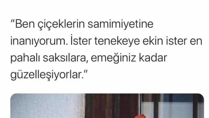 En sevdiğiniz çiçek hangisi? Şekli mi kokusu mu sizi kendine çeker?