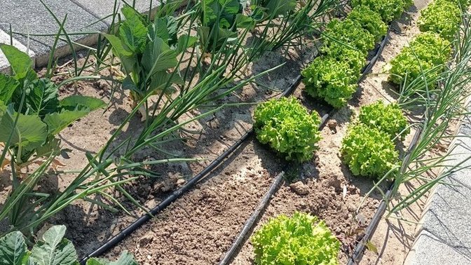 Hafta sonu keyfiniz ne alemde, neler yapıyorsunuz bakalım?