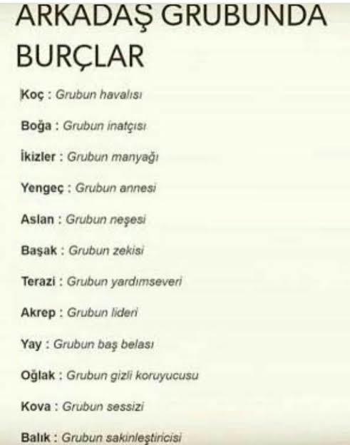 Burcuna göre arkadaş grubunda nesin?