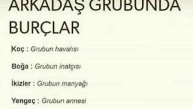 Burcuna göre arkadaş grubunda nesin?