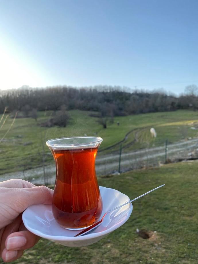 Hafta sonunuzu nasıl değerlendirdiniz?
