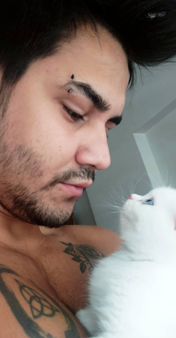 1 günlüğüne hangi 😻 hayvan olmak isterdin?