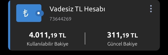 Kullanılabilir bakiye ne demek?