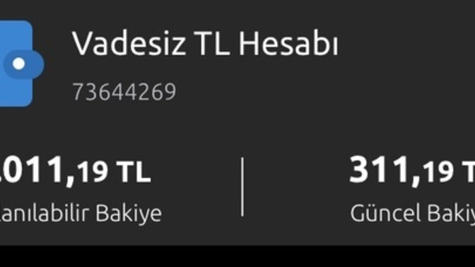 Kullanılabilir bakiye ne demek?