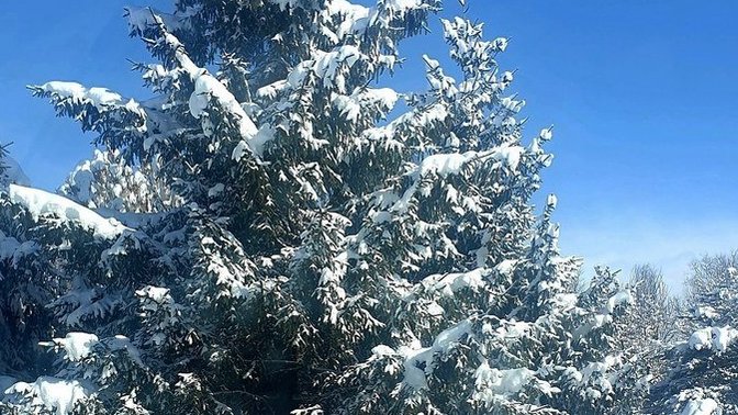 Günaydın🌞. "Seni daha yakından tanımak isterim" cümlesinden ne anlıyorsunuz yazabilir misiniz?