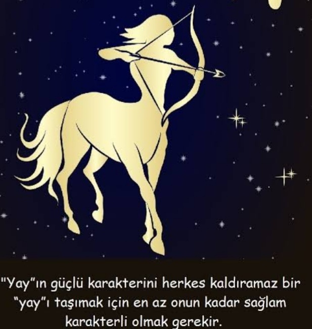 Yay burcu hakkında ne düşünüyorsunuz?