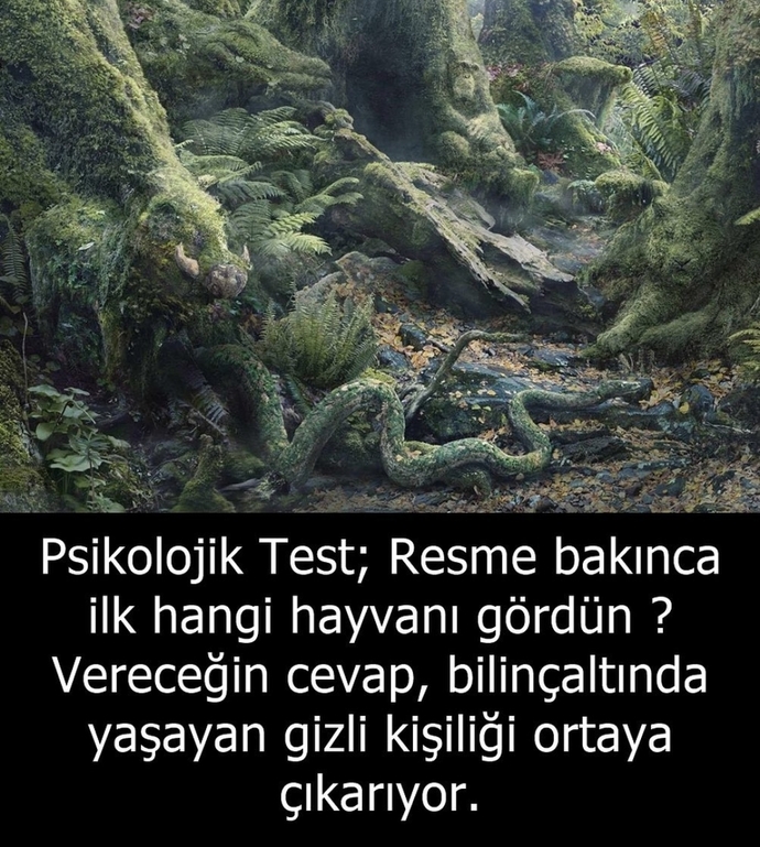 Resme baktığınızda ilk hangi hayvanı gördünüz?