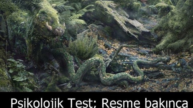 Resme baktığınızda ilk hangi hayvanı gördünüz?