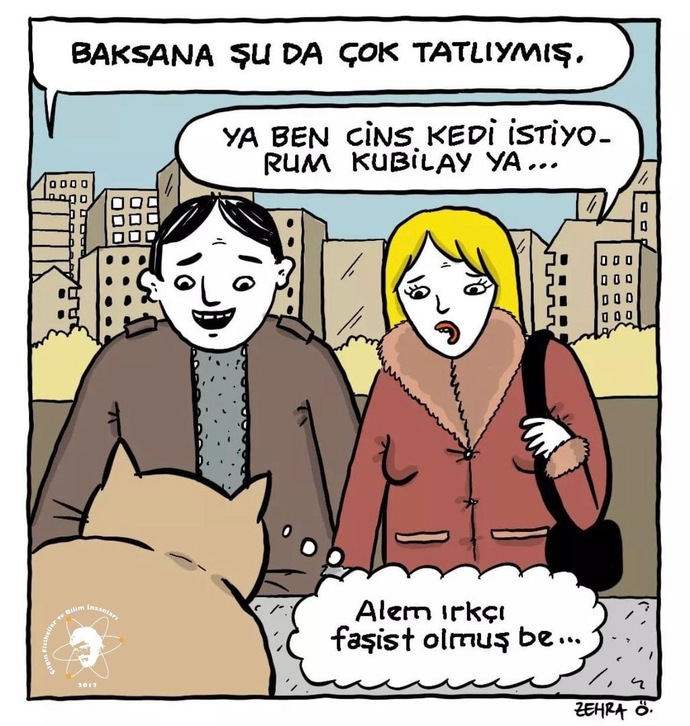 Sokakta british, scottish, fold cinsi gibi yavru kediler bulma ihtimali yüzde sıfır mı?