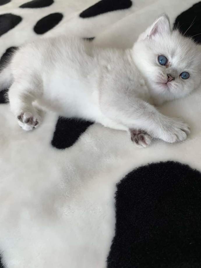 En son neyin/kimin fotoğrafını çektiniz?