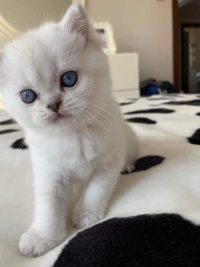 En son neyin/kimin fotoğrafını çektiniz?