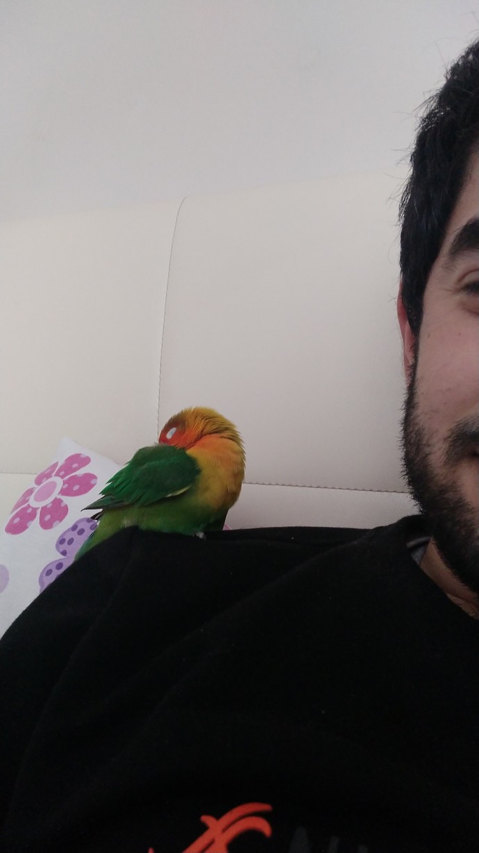 En son neyin/kimin fotoğrafını çektiniz?