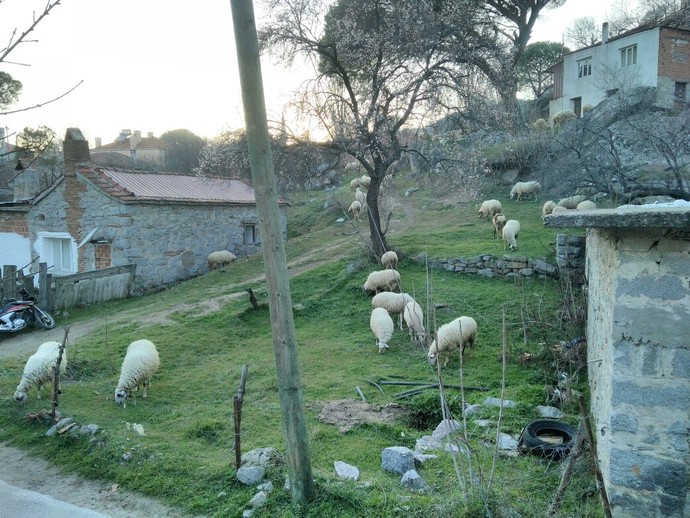 En son neyin/kimin fotoğrafını çektiniz?