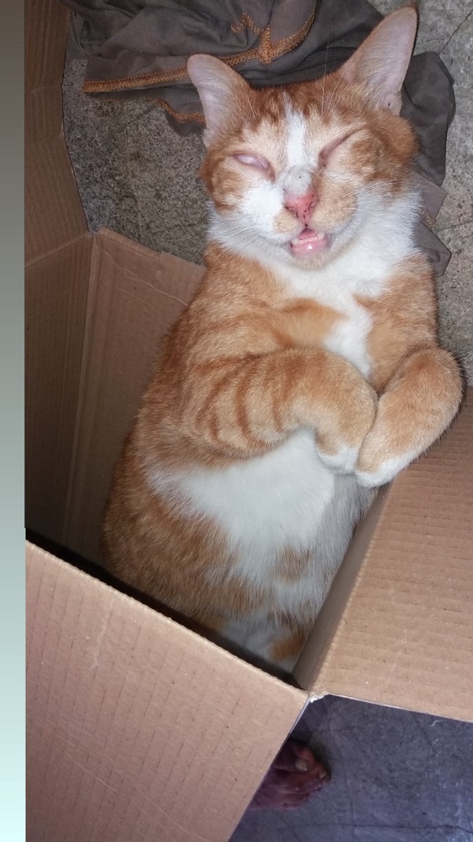 Bu sabah hayat enerjin ne alemde?