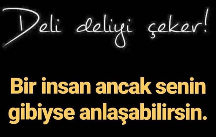 Deli deliyi ceker mi?