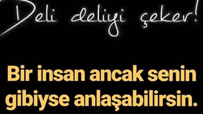 Deli deliyi ceker mi?