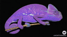 Yola çıktıklarını yolda bulduklarına değişen insanlara tek lafınız ne olur?