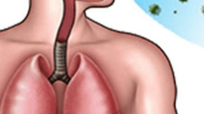 Doktor arkadaşlar aklıma bu takıldı çocukluğumdan belli sormak istedim sizce mümkün müydü?